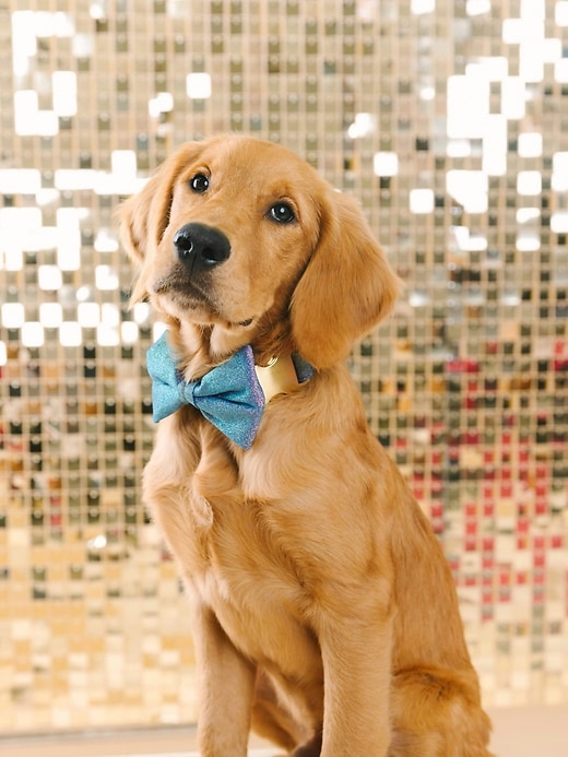 Image number 3 showing, Glitter Dog Bow Tie