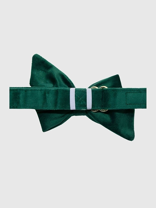 Image number 2 showing, Velvet Dog Babe Bow