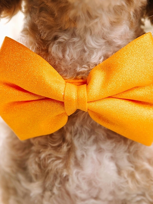 Image number 4 showing, Glitter Dog Bow Tie