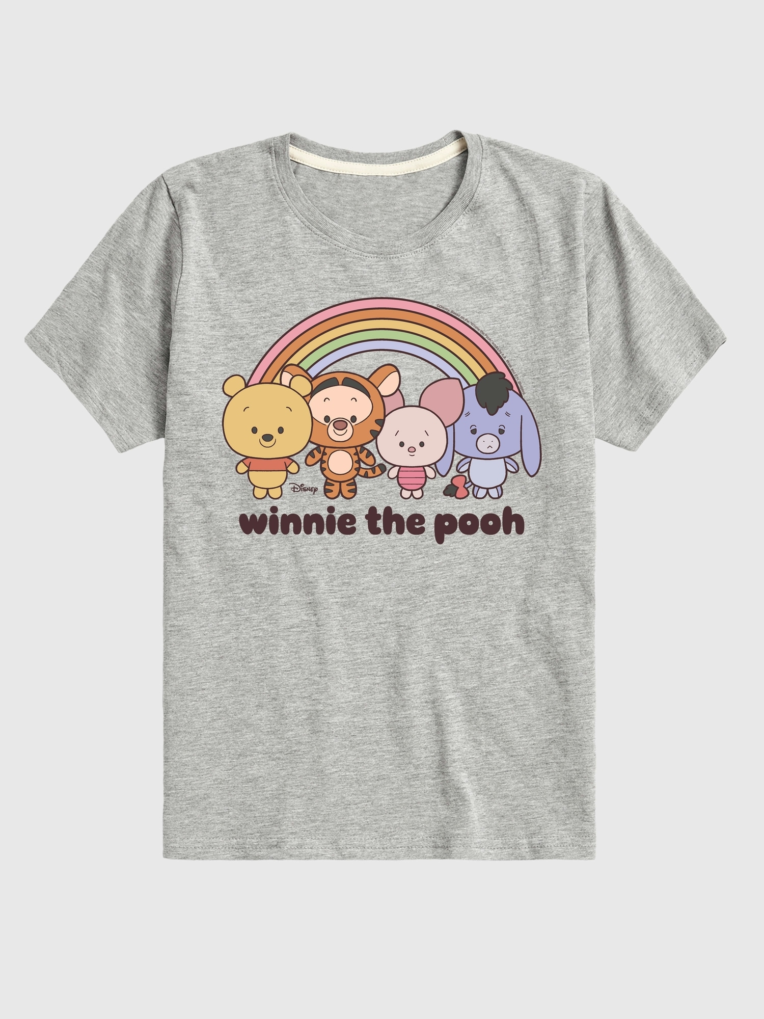 Toddler Winnie the Pooh Rainbow Short Sleeve Graphic Tee